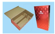 廣州卓飾包裝制品有限公司