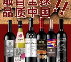 樂(lè)朗（天津）國(guó)際貿(mào)易有限公司